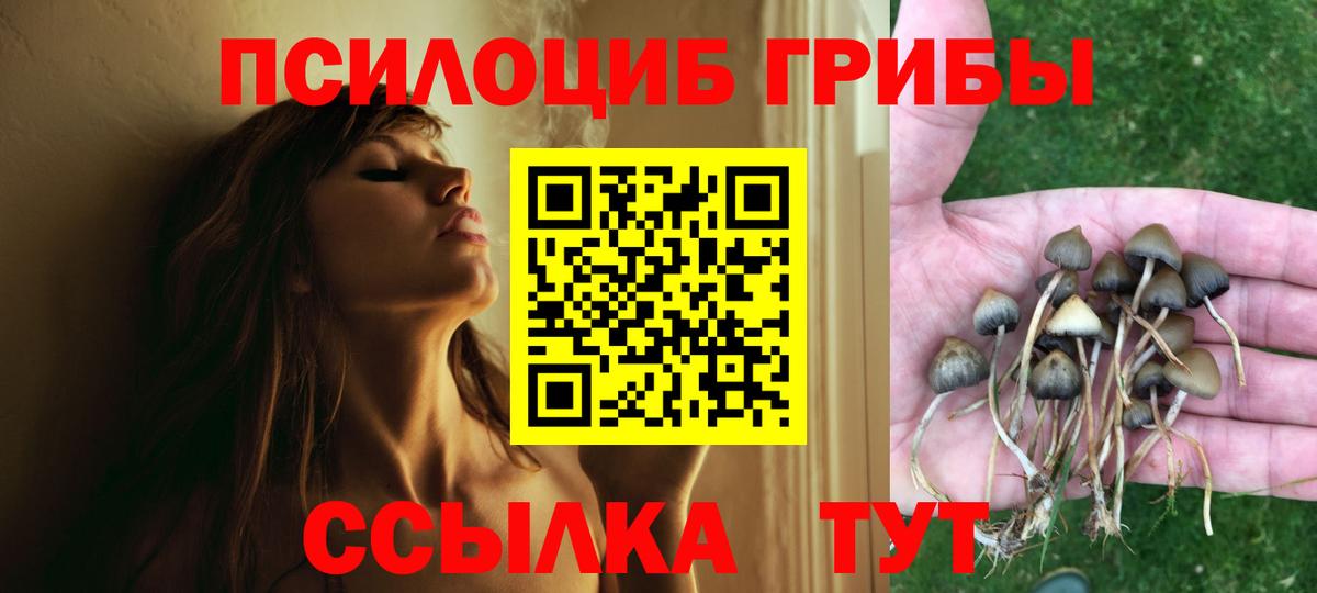 Альметьевск  Галлюциногенные грибы MAGIC MUSHROOMS  наркотики  Вход с VPN  Псилоцибиновые грибы прущие грибы 